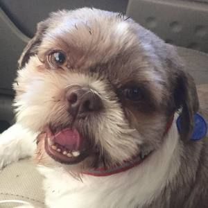 Meet your Posher, Heather